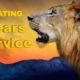 The Fort Erie Lions Club is Celebrating 95 years of Service